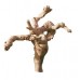 GRAPEWOOD BRANCHY Sanded 12" -OUT OF STOCK